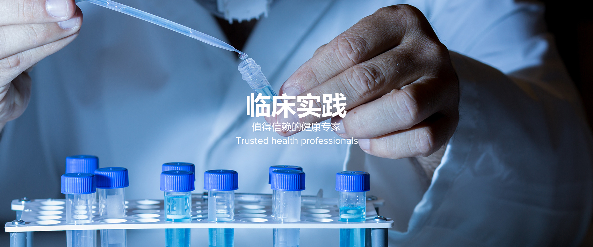 臨床文獻